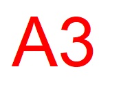 A3