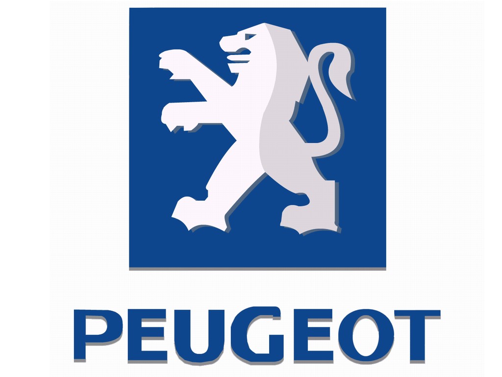Servo Freio Peugeot Reman - 4 cilindros - Todos modelos gasolina