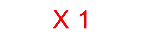 X 1