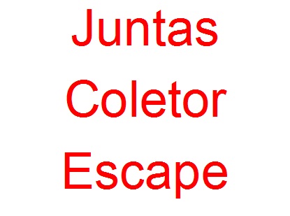 Juntas Coletor Escape