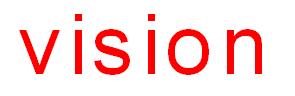 Vision